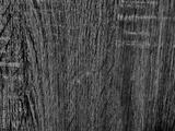 preview bw