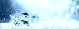 preview cold