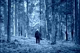 preview cold