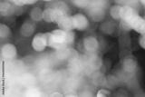 preview bw