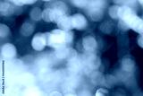 preview cold