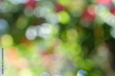 image to crop
