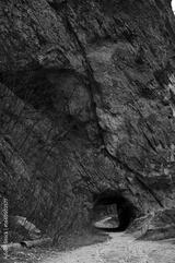 preview bw