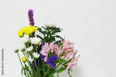 image to crop