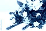 preview cold