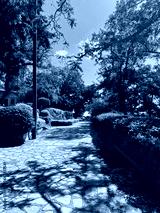 preview cold