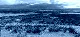 preview cold