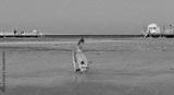 preview bw