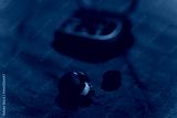 preview cold