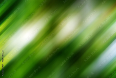 image to crop