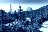 preview cold