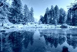 preview cold