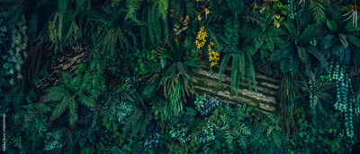 image to crop