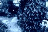 preview cold
