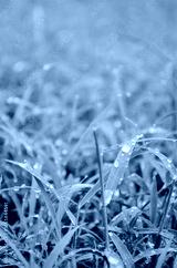 preview cold
