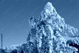 preview cold