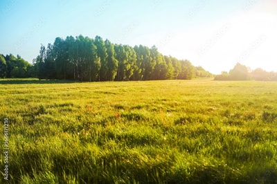 image to crop