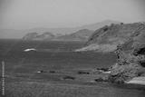 preview bw