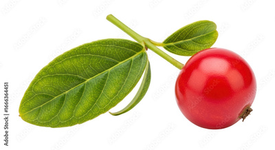 image to crop