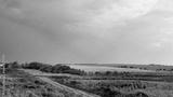preview bw