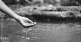 preview bw