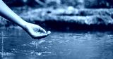 preview cold