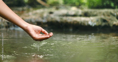 image to crop