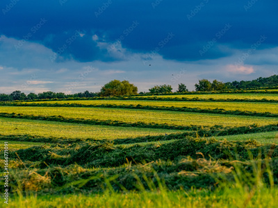 image to crop
