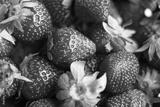 preview bw
