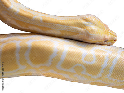 image to crop