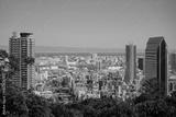 preview bw