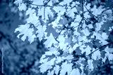 preview cold