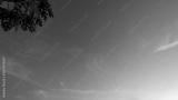 preview bw