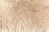 preview original