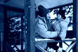 preview cold