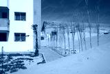 preview cold