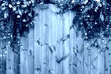preview cold