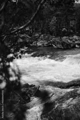 preview bw