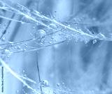 preview cold