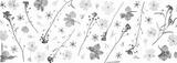 preview bw