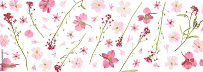 image to crop