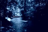 preview cold