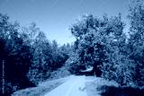 preview cold