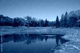 preview cold