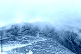 preview cold