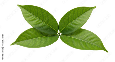 image to crop