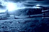 preview cold