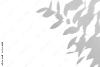image to crop