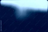 preview cold