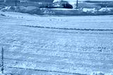 preview cold